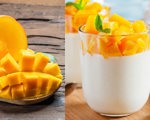 Panna Cotta de Mango