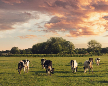 Taking action for a better future